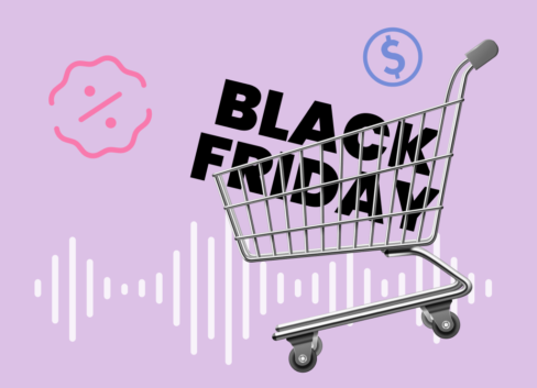 The Best Black Friday BSG Voice Bot Marketing Campaigns